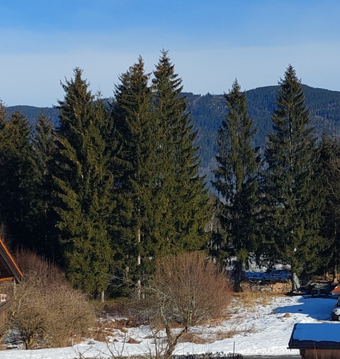 Inzell Grundstücke, Inzell Grundstück kaufen