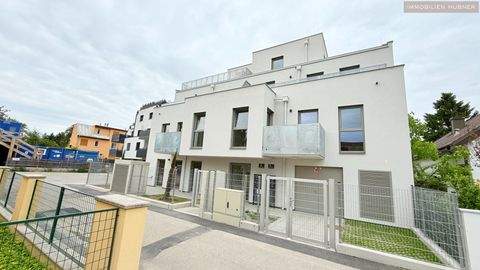 Wien Wohnungen, Wien Wohnung mieten
