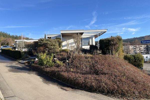 Seitenansicht mit Zugang und teilüberdachter Terrasse