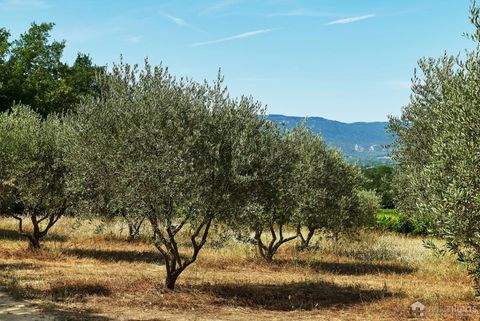 VILLELAURE Bauernhöfe, Landwirtschaft, VILLELAURE Forstwirtschaft