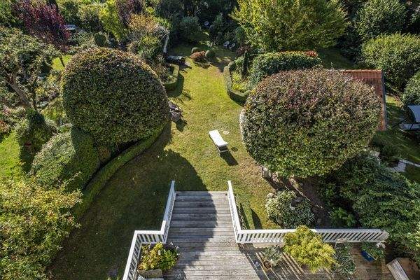 Blick vom 2. OG in den Garten 