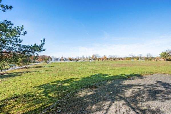 Weitläufige Grünwiesen