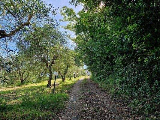 48_Rustico Toskana.jpg