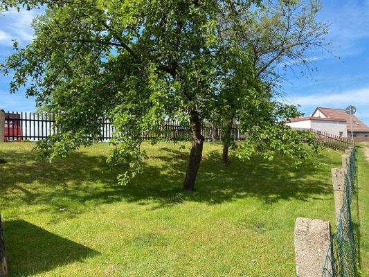 Obstwiese (städtisches Grundstück)