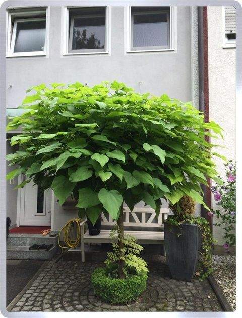 Erding Häuser, Erding Haus kaufen