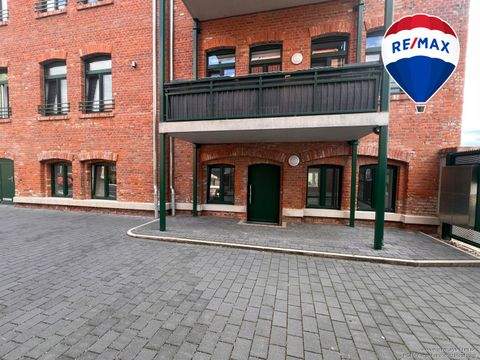 Magdeburg Halle, Magdeburg Hallenfläche