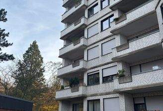 WhatsApp Image 2025-11-14 at 17.31.10 (2)