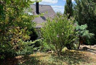 Teil vom Garten