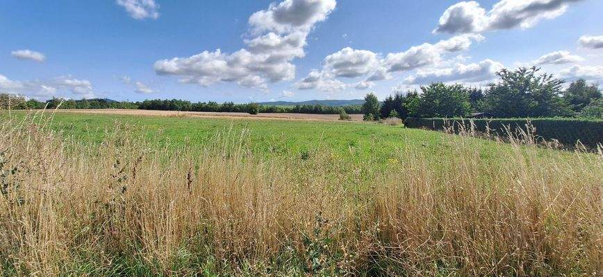 Blickrichtung Inselsberg