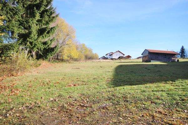 Blick auf das Grundstück