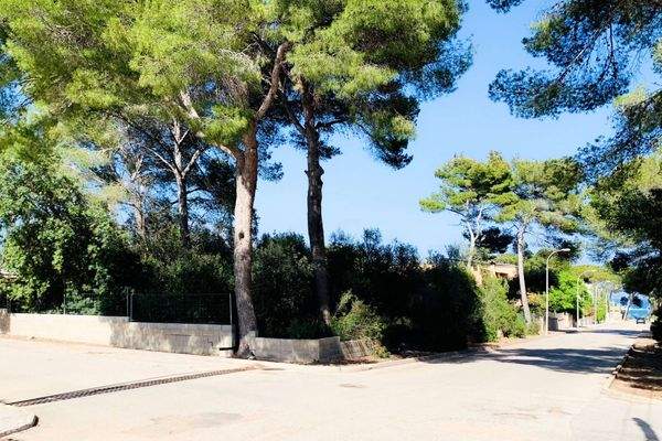 Bauen Sie sich Ihr Traumhaus