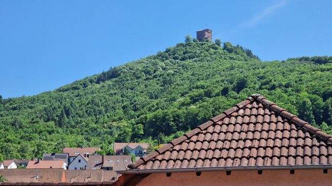 Ausblick auf Burg Trifels