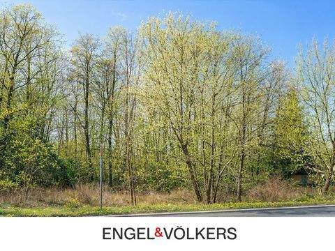 Mühlenbecker Land Grundstücke, Mühlenbecker Land Grundstück kaufen