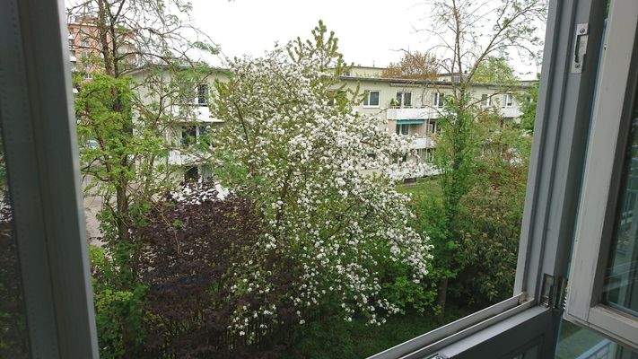 Aussicht Fenster/Wohnbereich