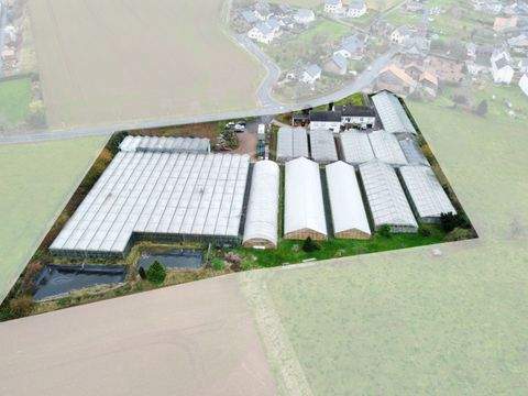 Mechernich Bauernhöfe, Landwirtschaft, Mechernich Forstwirtschaft