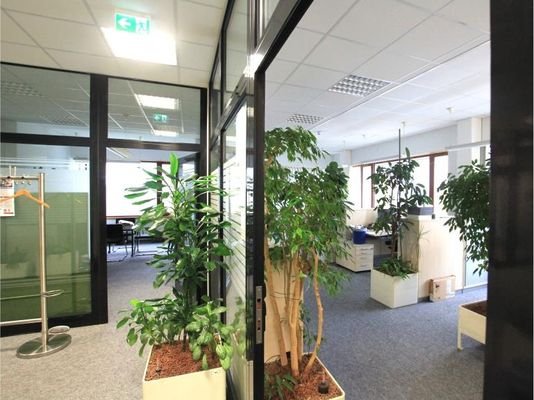 Büro EG Ulm