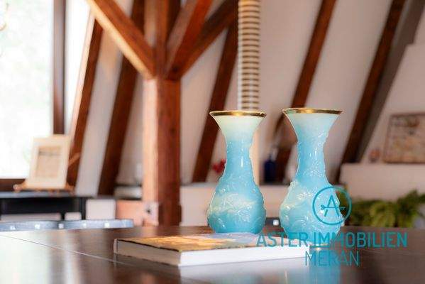 ASTER_IMMOBILIEN-20B