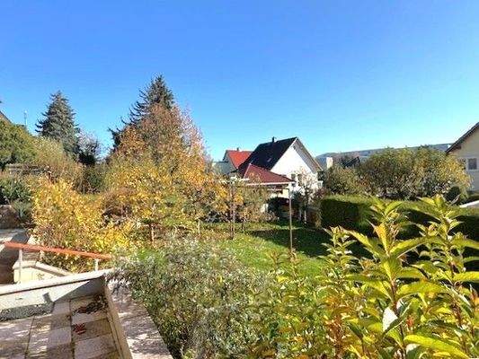 Gartengrundstück im Sommer