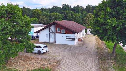 Laichingen Halle, Laichingen Hallenfläche