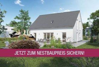 Nestbau