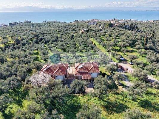 dbbbd8412f5543a2b819f4e2d2334085-original