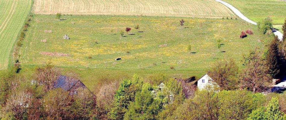 optionale Blumenwiese