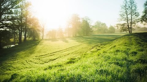 Essen Bauernhöfe, Landwirtschaft, Essen Forstwirtschaft