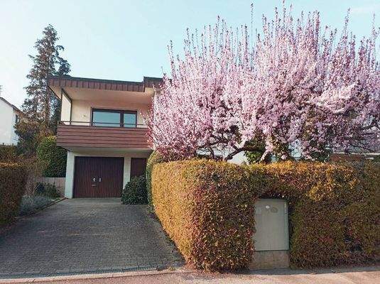 Außenansicht Eingang EG mit Garagenauffahrt