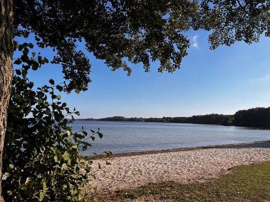 e5fd4026-693a-4220-8450-3d7b27270a77