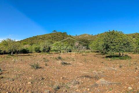Capdepera Grundstücke, Capdepera Grundstück kaufen