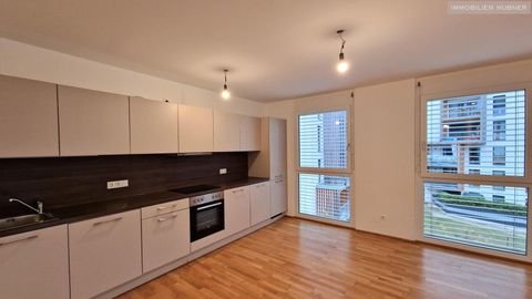 Wien Wohnungen, Wien Wohnung mieten