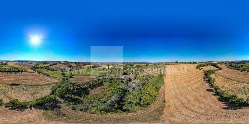 Villa-Toskana-Urlaub-Ferienhaus-Ferienwohnung-Traum-Oliven-Wein-Florenz-Siena-Assisi-Ruhe-Haus-Einfamilienhaus