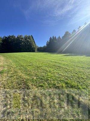 Landwirtschaftliches Grundstück