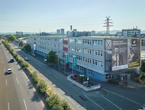 Mannheim Halle, Mannheim Hallenfläche