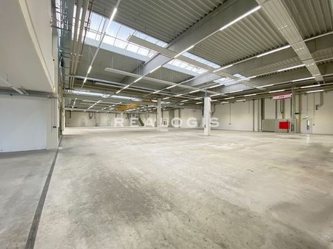 Kirchheim bei München Halle, Kirchheim bei München Hallenfläche