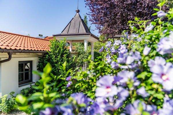 Sommerliche Farbakzente