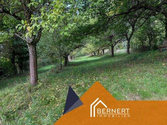 Wiese mit Obstbaumbestand