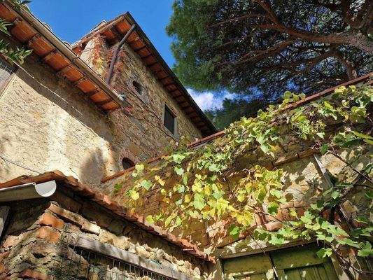 73LAzienda_ agricola_Toskana.jpg