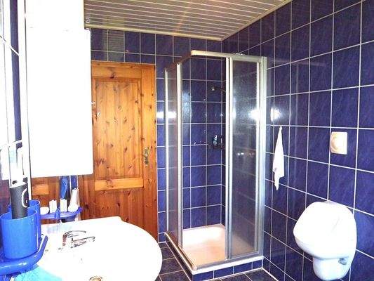 Gäste WC / Duschbad