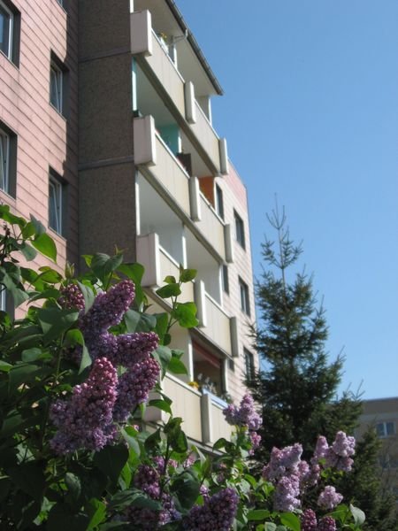 Schkeuditz Wohnungen, Schkeuditz Wohnung mieten