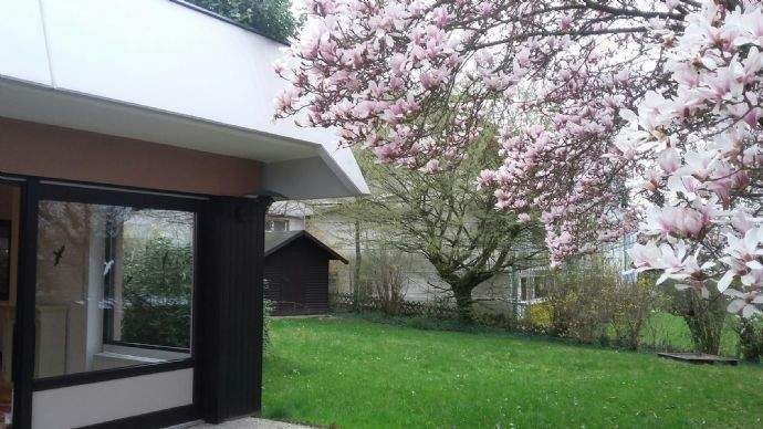 "eigener" Garten, Bild 2