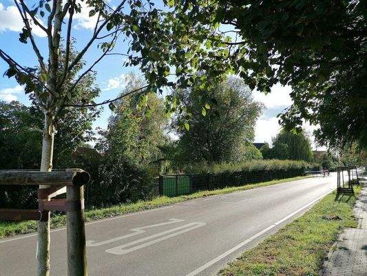 ...im Birkholzer Weg