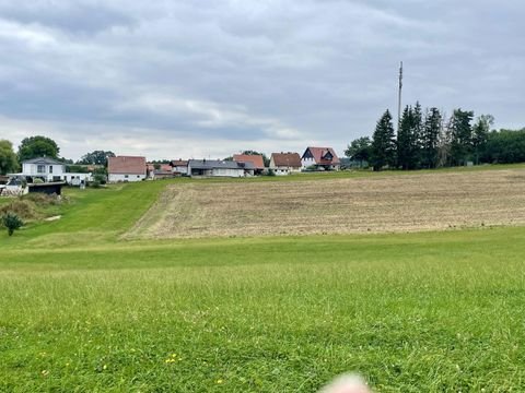 Fichtenau Häuser, Fichtenau Haus kaufen