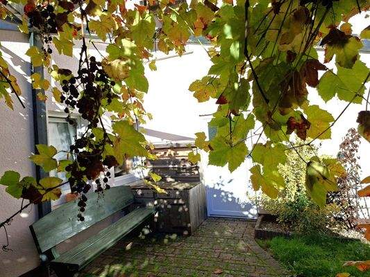 Uneinsichtiger Freisitz im hinteren Gartenbereich 