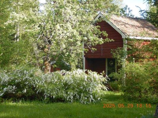 Gästehaus mit Garten