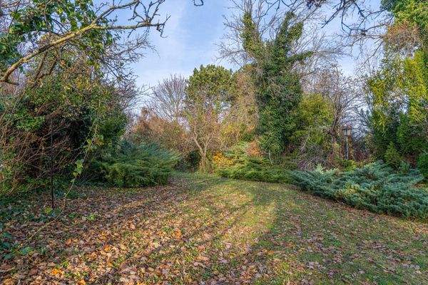 oberer Grundstücksbereich im Herbst