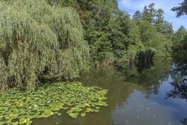 Kiefernstr.2a-22a Ru¨ckseite Teich