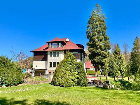 Hohnstein Häuser, Hohnstein Haus kaufen