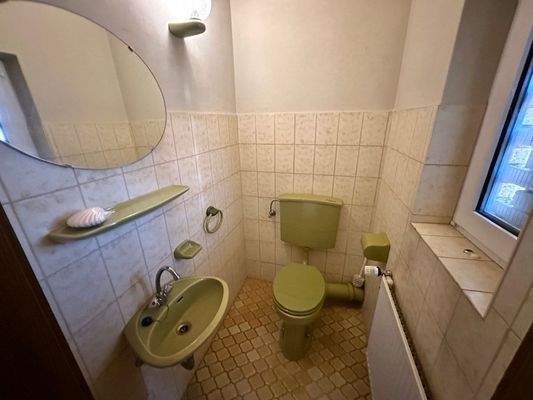 Praktisches Gäste-WC (EG)