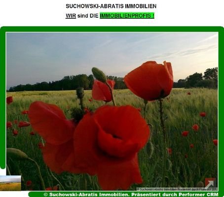 Landwirtschaft 3